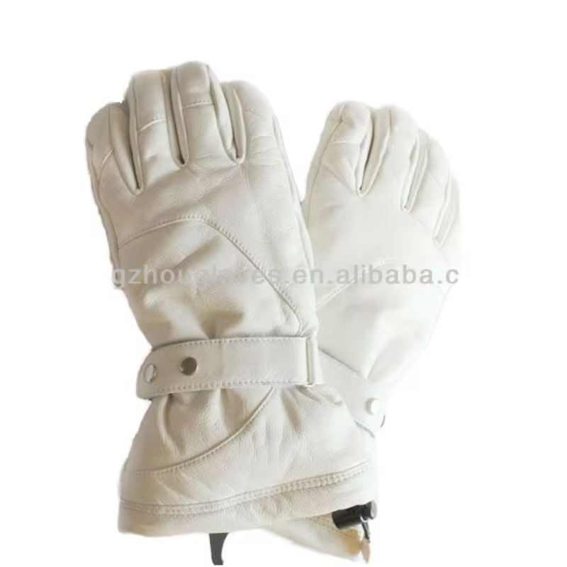 Airo Premium Men Women Ski Glo - đánh giá và giá Ski Glove Waterproof