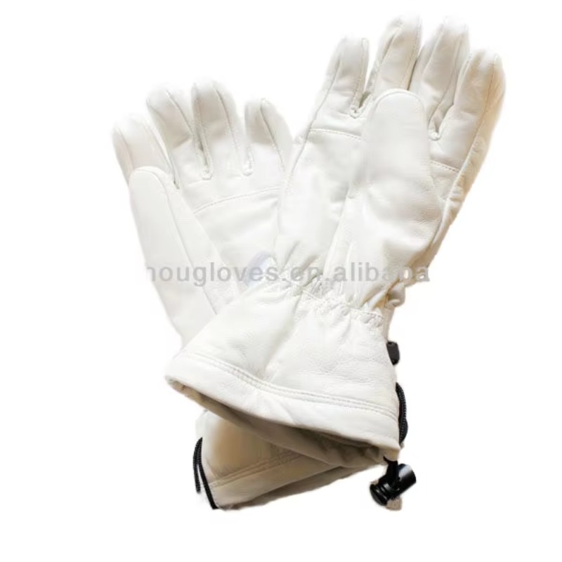 Airo Premium Men Women Ski Glo - đánh giá và giá Ski Glove Waterproof