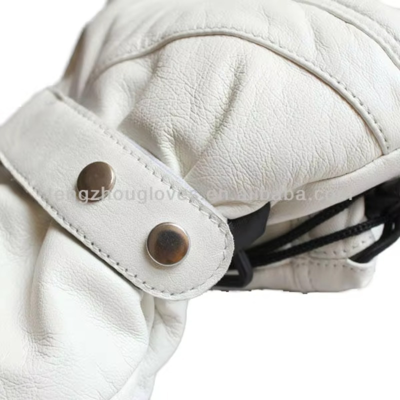 Airo Premium Men Women Ski Glo - đánh giá và giá Ski Glove Waterproof
